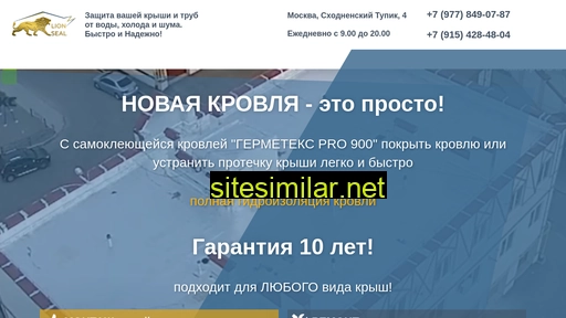 lion-seal.ru alternative sites
