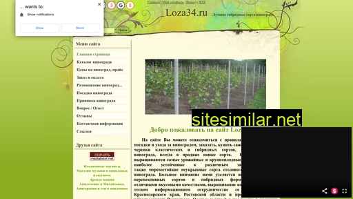 Loza34 similar sites