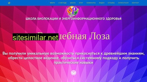 magicrod.ru alternative sites