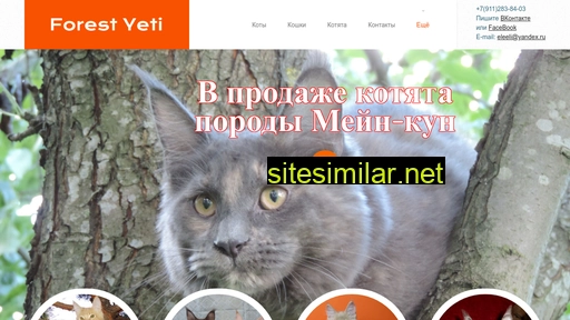 maine-coon-spb.ru alternative sites