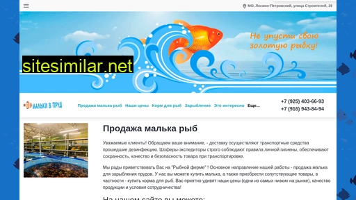 malki-v-prud.ru alternative sites