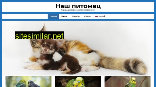 manikurhit.ru alternative sites