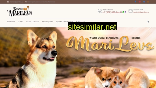 marilevs-corgi.ru alternative sites