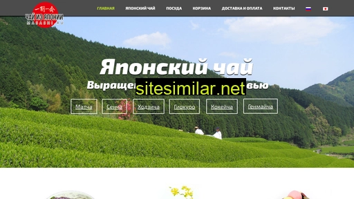 masashi.ru alternative sites