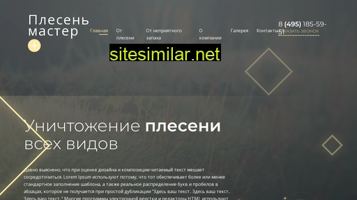 master-plesen.ru alternative sites