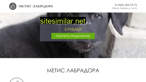metis-labradora.ru alternative sites