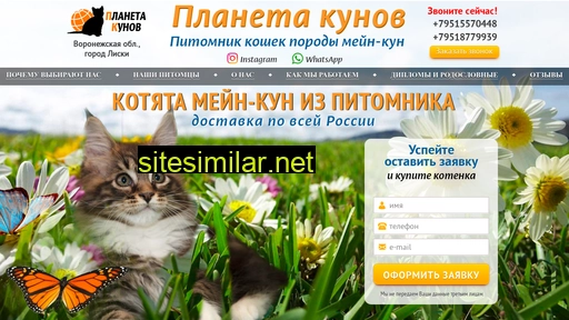 meyn-kyn.ru alternative sites