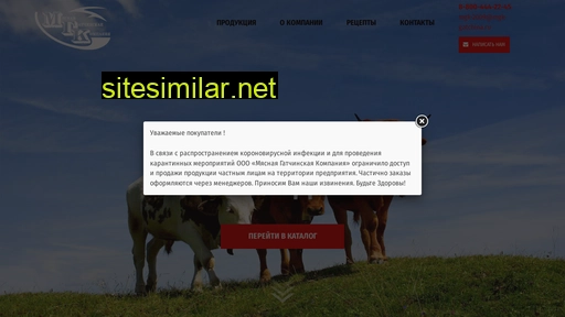 mgk-gatchina.ru alternative sites