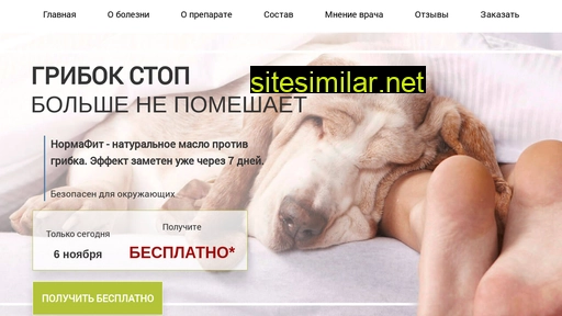 micoset.ru alternative sites