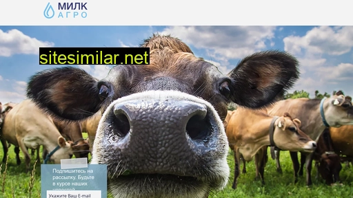 milkagro.ru alternative sites