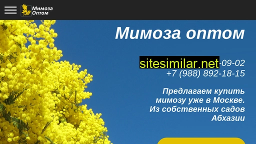 mimosa-optom-msk.ru alternative sites