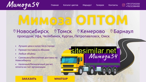 mimoza54.ru alternative sites