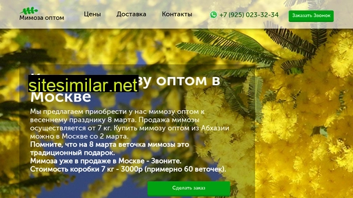 mimozaoptom.ru alternative sites