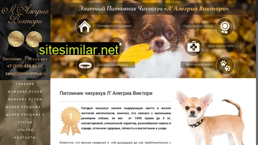 mini-chihua.ru alternative sites