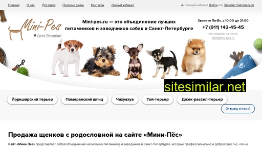 mini-pes.ru alternative sites