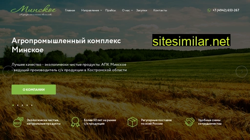 minskoe44.ru alternative sites