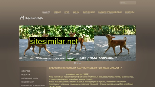 miralin61.ru alternative sites