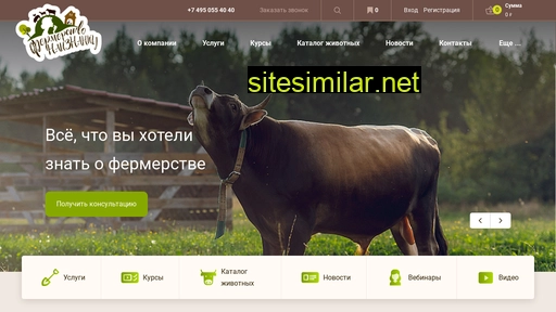 mirferm.ru alternative sites