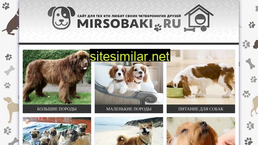 mirsobaki.ru alternative sites