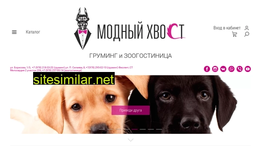 modnyhvost.ru alternative sites