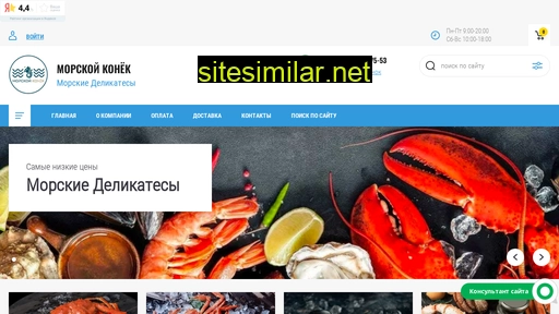 morkonek.ru alternative sites