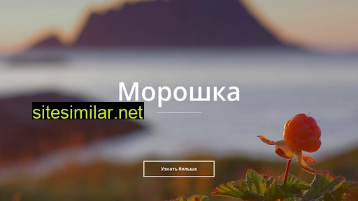 morroshka.ru alternative sites