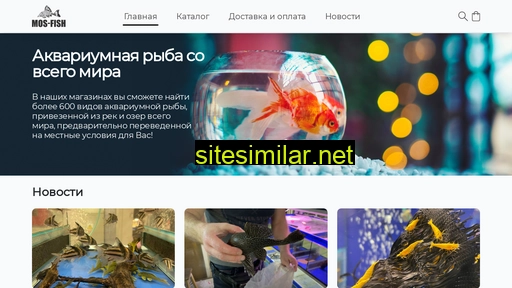 mos-fish.ru alternative sites