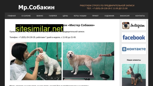 mrsobakin.ru alternative sites