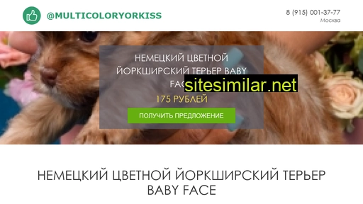 multicoloryorkiss.ru alternative sites