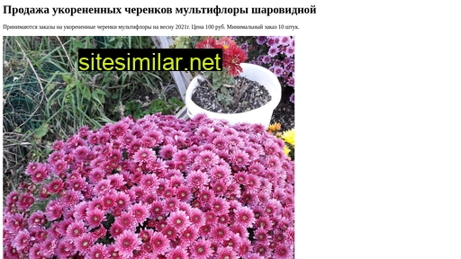 multiflora43.ru alternative sites