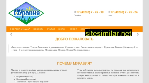 muravia.ru alternative sites