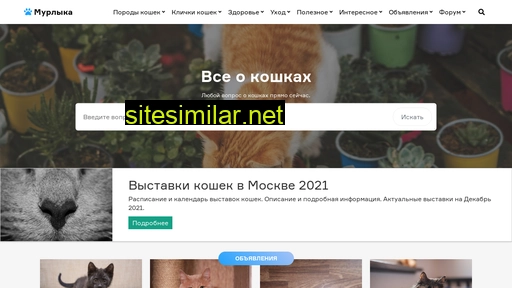 murcat.ru alternative sites