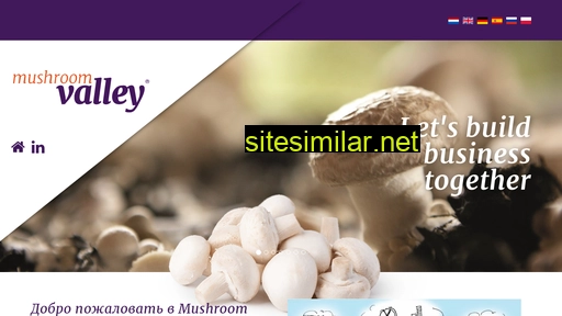 mushroomvalley.ru alternative sites