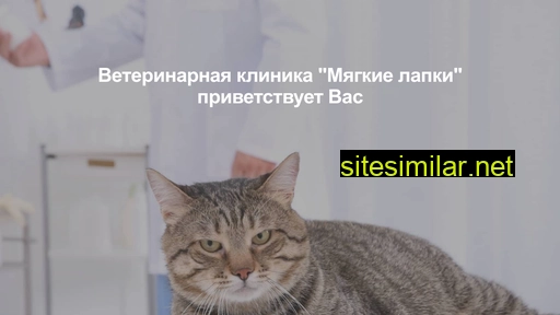 myagkie-lapki24.ru alternative sites