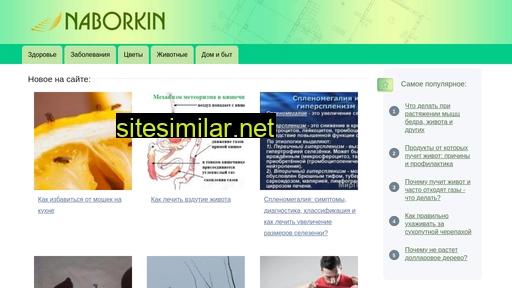 naborkin.ru alternative sites