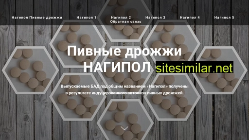 nagipol.ru alternative sites