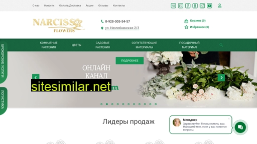narciss-opt.ru alternative sites