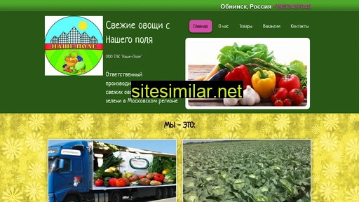 nashe-pole.ru alternative sites