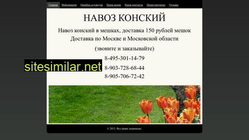 navoz99.ru alternative sites