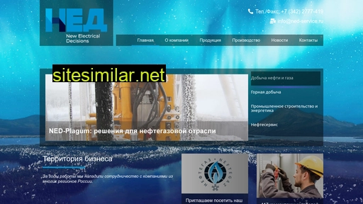 ned-service.ru alternative sites