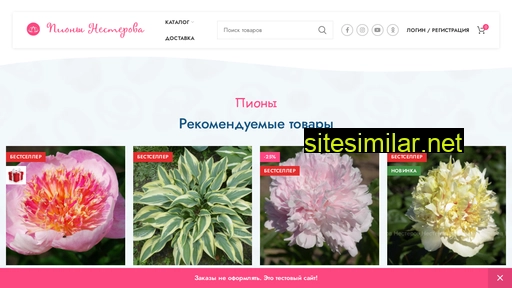nesterov-p.ru alternative sites
