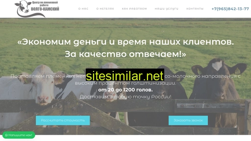 neteli.ru alternative sites