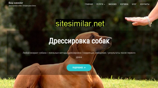 newdog.ru alternative sites