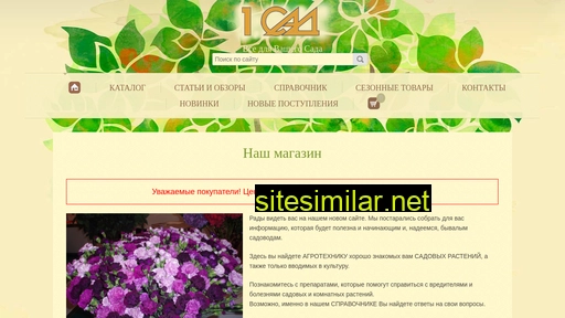 noviy-sad.ru alternative sites