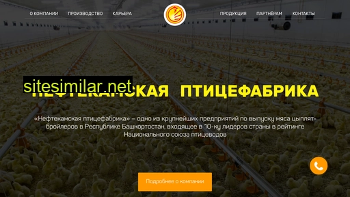 npf102.ru alternative sites