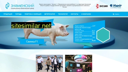 nsgc.ru alternative sites