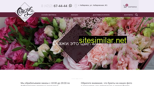 oasis-dv.ru alternative sites