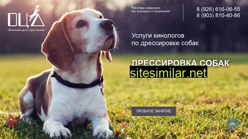 Obninsk-dog similar sites