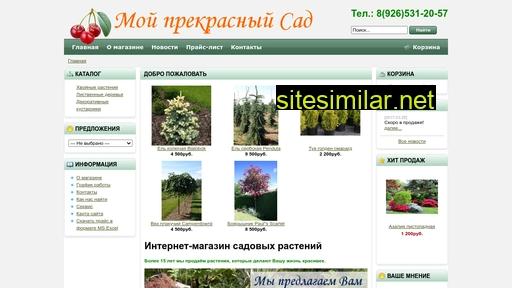 olginsad.ru alternative sites