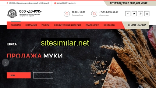 ooo-dorus.ru alternative sites